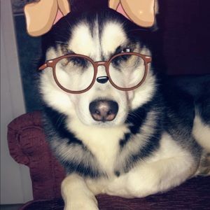 Meet your Posher, Caitlin